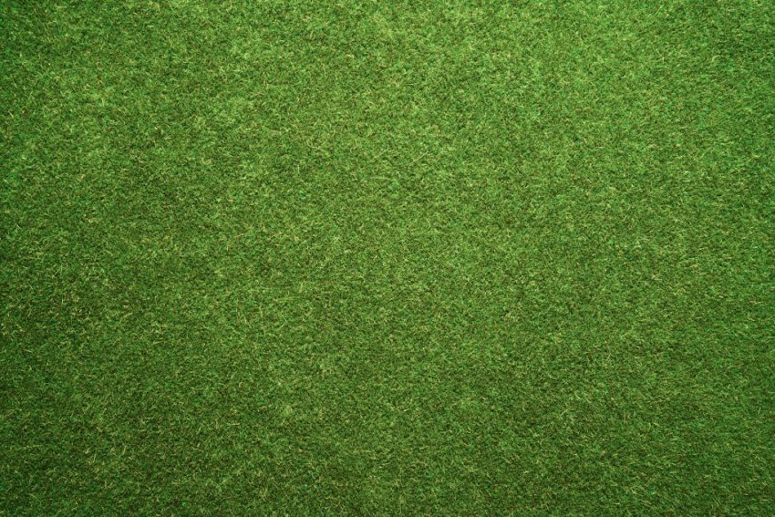 Green Turf Texture Full Frame Directly Above View.